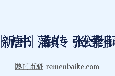 新唐书·藩镇传·张公素组词是什么意思的图片